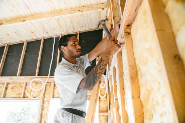 Best Cellulose Insulation  in Cherryville, NC